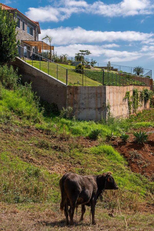Villa Fauna - Nature & Tranquility - Heated Pool Optional Prazeres Exterior foto